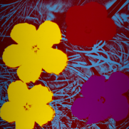 Mehrere Blumen in Gelb, Rot und Lila vor blauem Hintergrund.